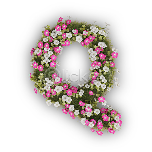 사람없음 3D PSD 편집이미지 Q 꽃 나팔꽃 대문자 문자 분홍색 식물 알파벳 영어 타이포그라피 텍스트 흰색