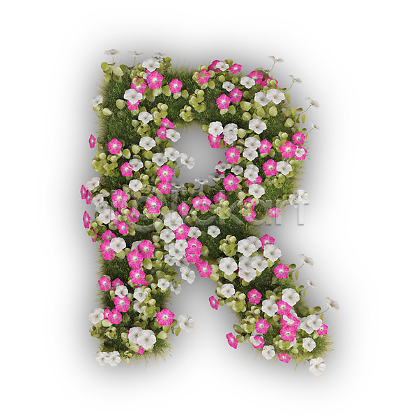 사람없음 3D PSD 편집이미지 R 꽃 나팔꽃 대문자 문자 분홍색 식물 알 알파벳 영어 타이포그라피 텍스트 흰색