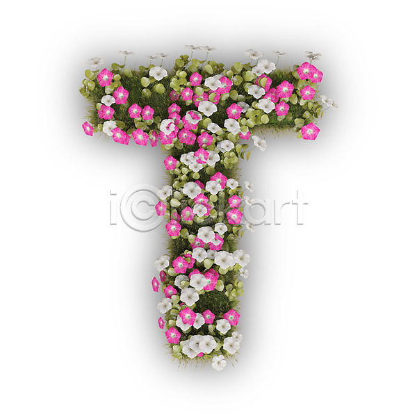사람없음 3D PSD 편집이미지 T 꽃 나팔꽃 대문자 문자 분홍색 식물 알파벳 영어 타이포그라피 텍스트 티(알파벳) 흰색