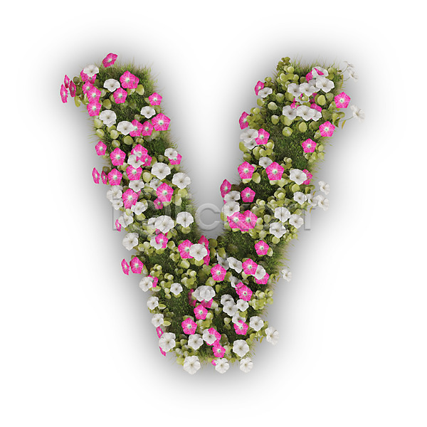 사람없음 3D PSD 편집이미지 V 꽃 나팔꽃 대문자 문자 분홍색 식물 알파벳 영어 타이포그라피 텍스트 흰색