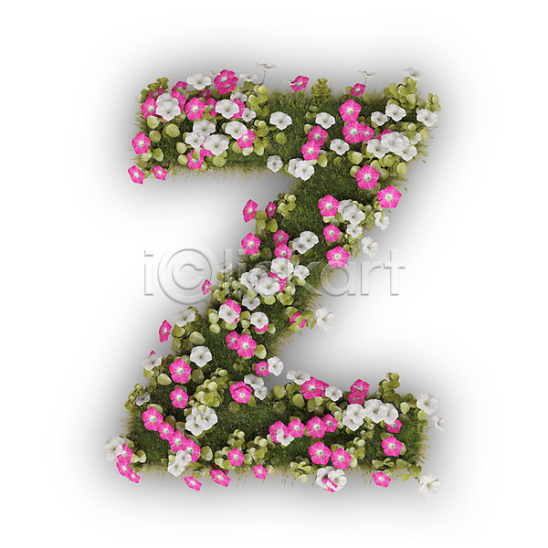 사람없음 3D PSD 편집이미지 Z 꽃 나팔꽃 대문자 문자 분홍색 식물 알파벳 영어 타이포그라피 텍스트 흰색