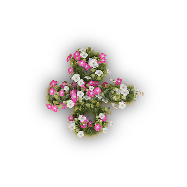 사람없음 3D PSD 편집이미지 기호 꽃 나누기 나팔꽃 문자 분홍색 식물 연산기호 타이포그라피 텍스트 흰색