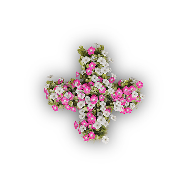 사람없음 3D PSD 편집이미지 기호 꽃 나팔꽃 덧셈 문자 분홍색 식물 연산기호 타이포그라피 텍스트 흰색