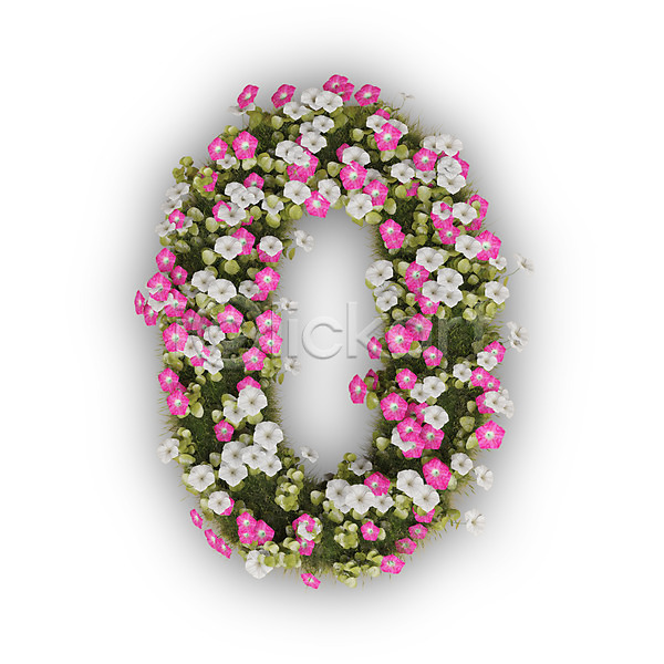 사람없음 3D PSD 편집이미지 꽃 나팔꽃 문자 분홍색 숫자 식물 영 타이포그라피 텍스트 흰색