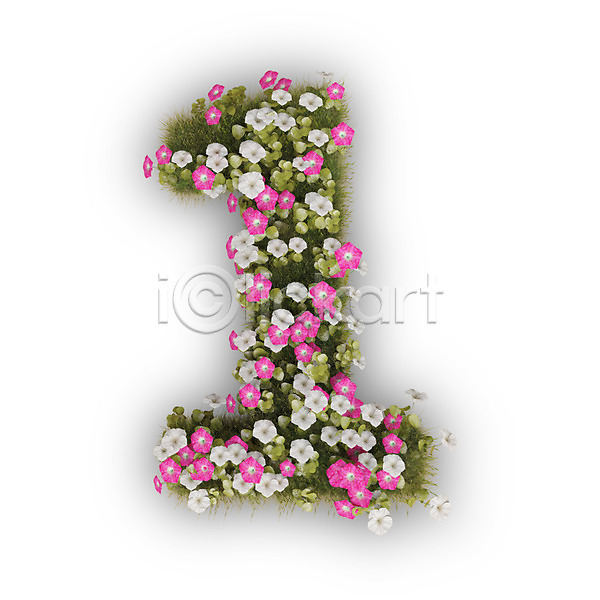 사람없음 3D PSD 편집이미지 1 꽃 나팔꽃 문자 분홍색 숫자 식물 타이포그라피 텍스트 흰색