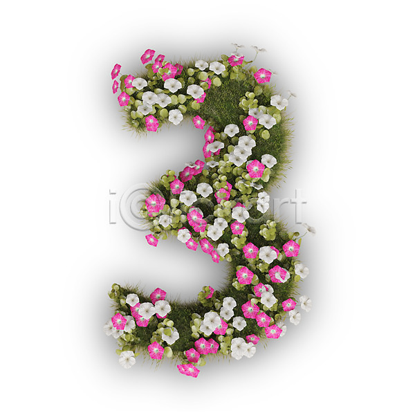 사람없음 3D PSD 편집이미지 3 꽃 나팔꽃 문자 분홍색 삼 숫자 식물 타이포그라피 텍스트 흰색