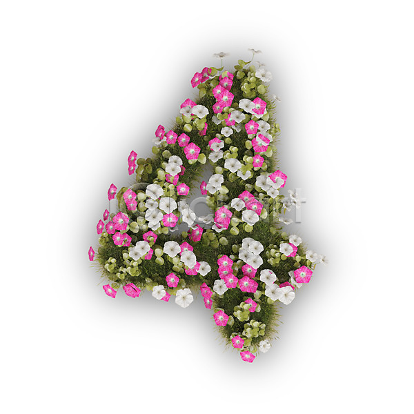 사람없음 3D PSD 편집이미지 4 꽃 나팔꽃 문자 분홍색 사 숫자 식물 타이포그라피 텍스트 흰색