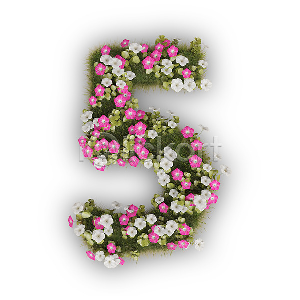 사람없음 3D PSD 편집이미지 5 꽃 나팔꽃 문자 분홍색 숫자 식물 오 타이포그라피 텍스트 흰색