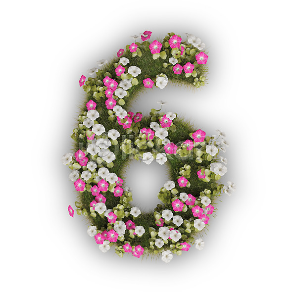 사람없음 3D PSD 편집이미지 6 꽃 나팔꽃 문자 분홍색 숫자 식물 타이포그라피 텍스트 흰색