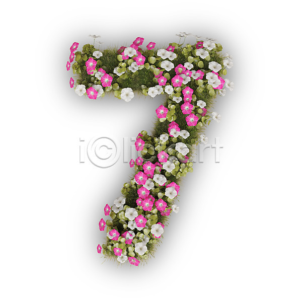 사람없음 3D PSD 편집이미지 7 꽃 나팔꽃 문자 분홍색 숫자 식물 칠 타이포그라피 텍스트 흰색