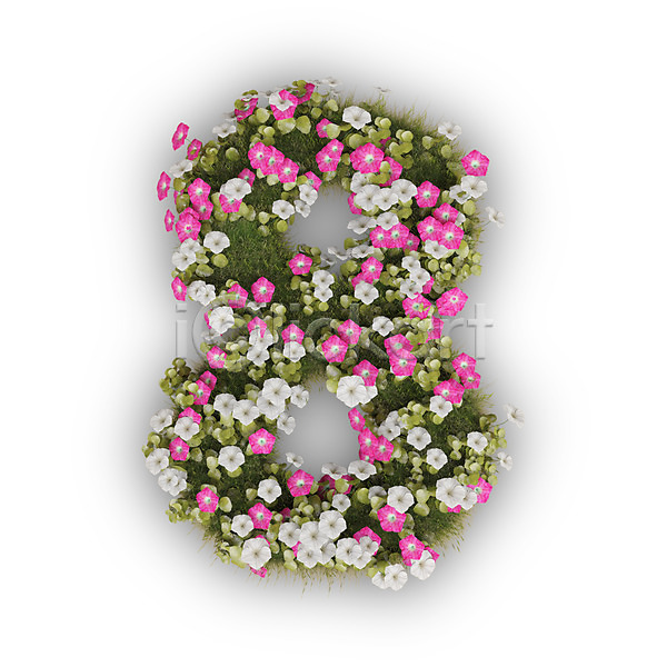 사람없음 3D PSD 편집이미지 8 꽃 나팔꽃 문자 분홍색 숫자 식물 타이포그라피 텍스트 팔 흰색