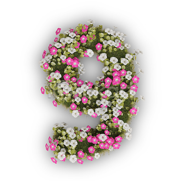 사람없음 3D PSD 편집이미지 9 구 꽃 나팔꽃 문자 분홍색 숫자 식물 타이포그라피 텍스트 흰색