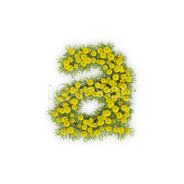 사람없음 3D PSD 편집이미지 A 국화 꽃 노란색 문자 소문자 식물 알파벳 영어 타이포그라피 텍스트