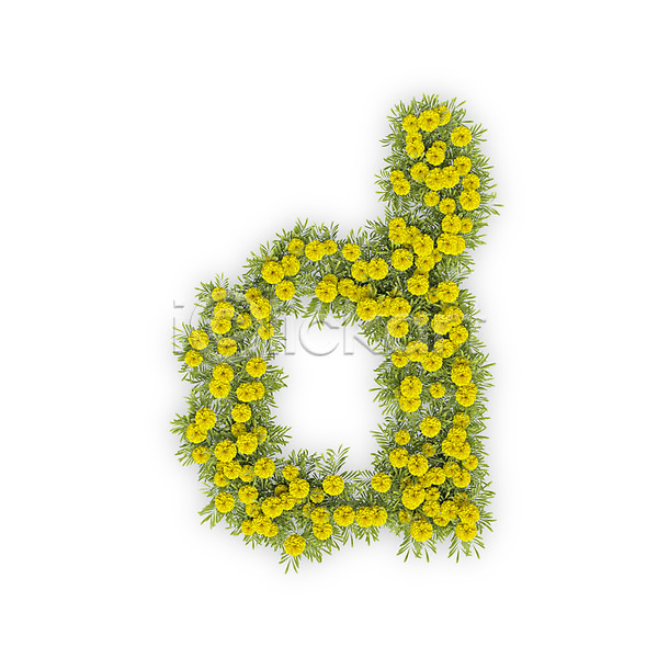 사람없음 3D PSD 편집이미지 D 국화 꽃 노란색 문자 소문자 식물 알파벳 영어 타이포그라피 텍스트