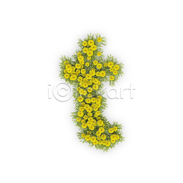 사람없음 3D PSD 편집이미지 T 국화 꽃 노란색 문자 소문자 식물 알파벳 영어 타이포그라피 텍스트 티(알파벳)