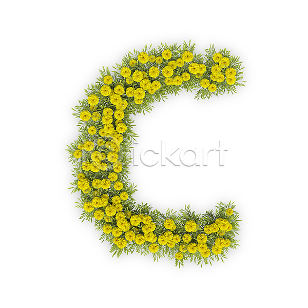 사람없음 3D PSD 편집이미지 C 국화 꽃 노란색 대문자 문자 식물 씨앗 알파벳 영어 타이포그라피 텍스트