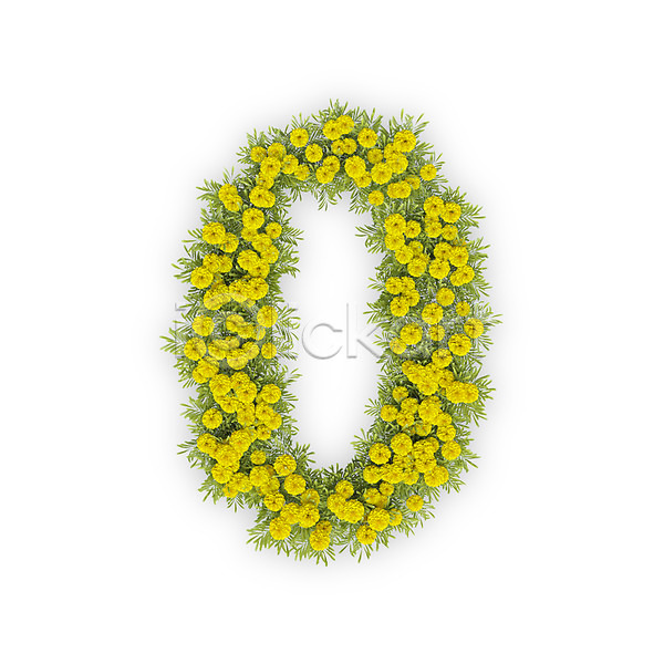 사람없음 3D PSD 편집이미지 국화 꽃 노란색 문자 숫자 식물 영 타이포그라피 텍스트