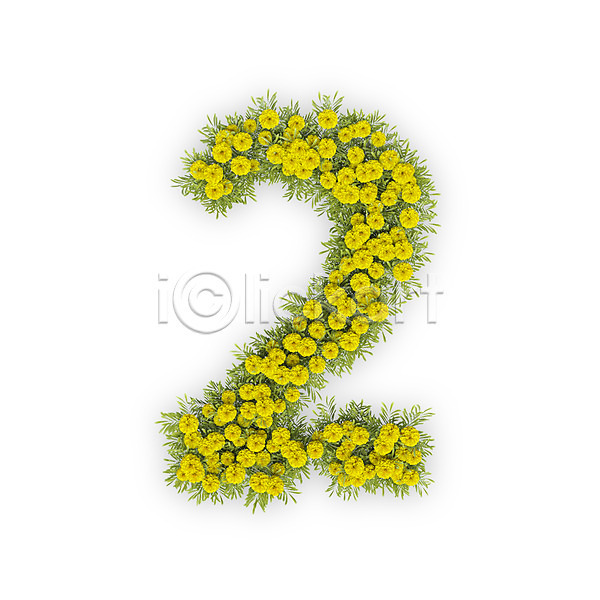 사람없음 3D PSD 편집이미지 2 국화 꽃 노란색 문자 숫자 식물 타이포그라피 텍스트