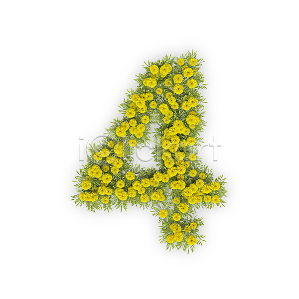 사람없음 3D PSD 편집이미지 4 국화 꽃 노란색 문자 사 숫자 식물 타이포그라피 텍스트