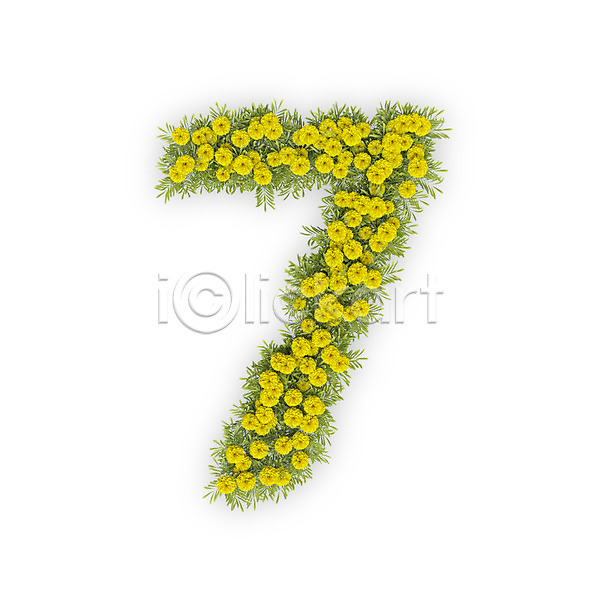 사람없음 3D PSD 편집이미지 7 국화 꽃 노란색 문자 숫자 식물 칠 타이포그라피 텍스트