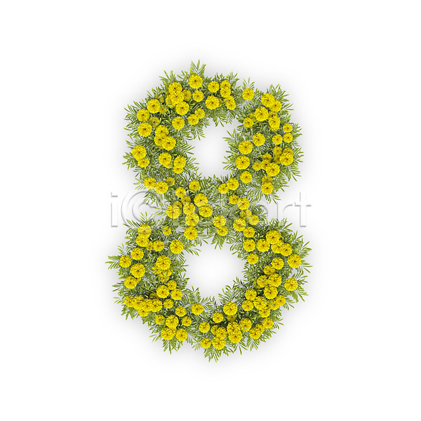 사람없음 3D PSD 편집이미지 8 국화 꽃 노란색 문자 숫자 식물 타이포그라피 텍스트 팔