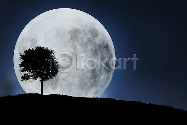 사람없음 JPG 실루엣 편집이미지 나무 달 디지털아트 밤하늘 보름달 빛 식물 야간 야외 언덕 편집 합성