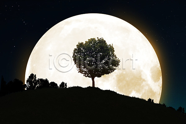 사람없음 JPG 실루엣 편집이미지 나무 달 디지털아트 밤하늘 별 보름달 산 식물 야간 야외 언덕 편집 합성