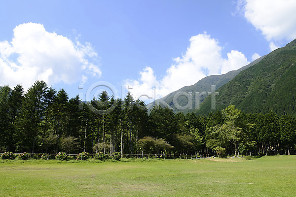 사람없음 JPG 포토 구름(자연) 나무 산 숲 식물 야외 자연 주간 초원(자연) 풍경(경치) 하늘