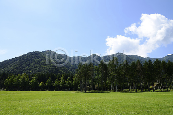 사람없음 JPG 포토 구름(자연) 나무 산 숲 식물 야외 자연 주간 초원(자연) 풍경(경치) 하늘