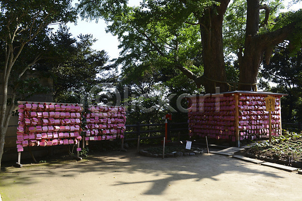 사람없음 JPG 포토 기도 나무 사원 사찰 소원 식물 아시아 야외 에마 일본 일본문화 일본전통 전통 종교 종교시설 주간 풍경(경치) 해외풍경