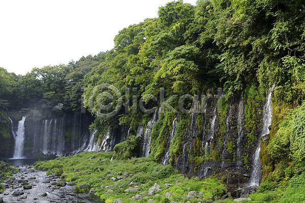 떨어짐 흐름 사람없음 JPG 포토 계곡 나무 물 숲 식물 야외 자연 주간 폭포 풍경(경치)