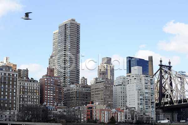 사람없음 JPG 포토 건축물 고층빌딩 구름(자연) 뉴욕 도시 도시풍경 도심 동물 루즈벨트섬 미국 빌딩 아메리카 야외 조류 주간 풍경(경치) 하늘 해외풍경 현대건축