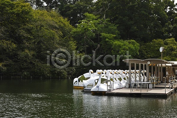 사람없음 JPG 포토 공원 나무 놀이공원 배(교통) 수상교통 식물 야외 오리 오리배 주간 풍경(경치) 항구 호수