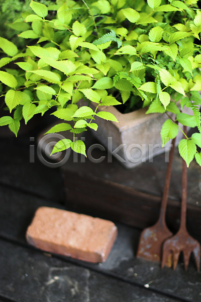 사람없음 JPG 아웃포커스 포토 농기구 벽돌 식물 원예 잎 자연 초록색 컬러 화분