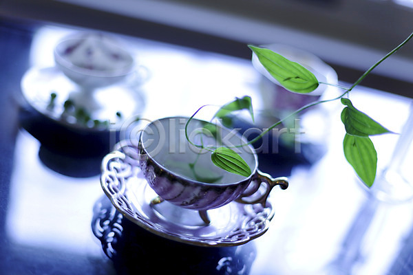 사람없음 JPG 아웃포커스 포토 나뭇잎 식물 오브젝트 잎 찻잔 커피잔 컵 컵받침 탁자