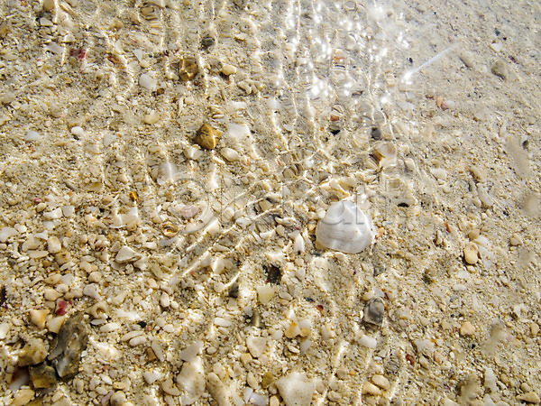 사람없음 JPG 포토 돌(바위) 맑음 물 바다 백그라운드 야외 오키나와 자연 조개 조약돌 주간 풍경(경치) 해변