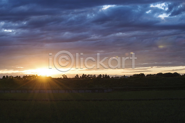 사람없음 JPG 포토 구름(자연) 논 농경지 농촌 야외 일몰 일출 자연 태양 풍경(경치) 하늘 햇빛