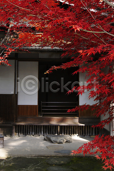 사람없음 JPG 포토 가을(계절) 가을풍경 건축물 계절 고건축 단풍 단풍나무 문 식물 야외 일본 일본문화 일본전통 자연 정원 주간 주택 풍경(경치) 해외풍경