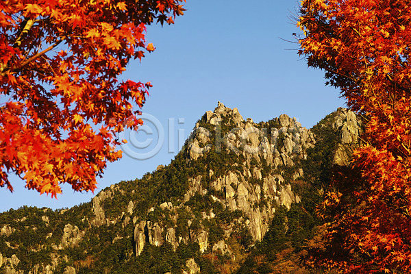 사람없음 JPG 포토 가을(계절) 가을풍경 계절 나무 단풍 돌(바위) 바위(돌) 바위산 산 식물 야외 자연 주간 풍경(경치) 하늘