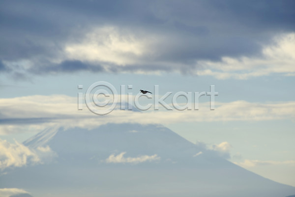 사람없음 JPG 포토 구름(자연) 동물 비행 산 야외 자연 조류 주간 풍경(경치) 하늘 한마리