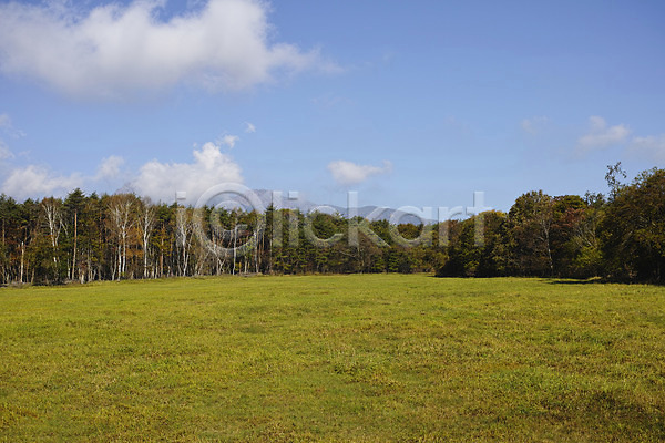 사람없음 JPG 포토 가을(계절) 가을풍경 계절 공원 구름(자연) 나무 숲 식물 야외 자연 주간 풍경(경치) 하늘
