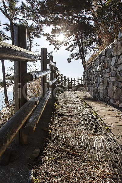 사람없음 JPG 포토 길 나무 돌담 부산 산책로 식물 야외 영도 울타리 주간 풍경(경치) 한국