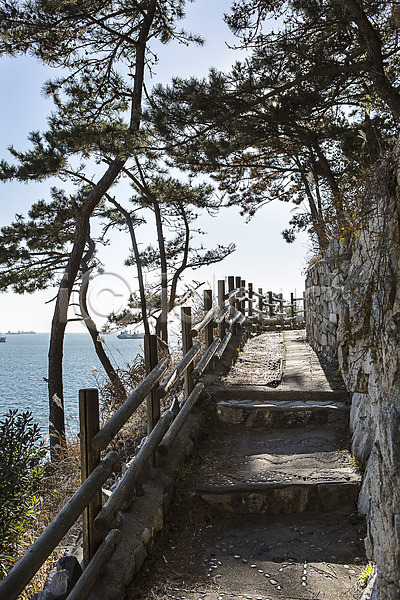 사람없음 JPG 포토 갈맷길 계단 나무 바다 부산 산책로 식물 야외 영도 울타리 주간 풍경(경치) 한국 해변