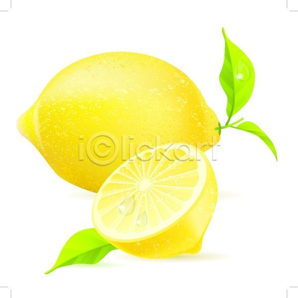 사람없음 EPS 일러스트 해외이미지 노란색 단면 레몬 슬라이스 잎 해외202004