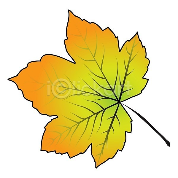 EPS 아이콘 일러스트 해외이미지 가을(계절) 계절 고립 그림 나무 노란색 단풍 디자인 만화 식물 심볼 싱글 엘리먼트 오렌지 잎 자연 캐나다 패턴 해외202004 흰배경