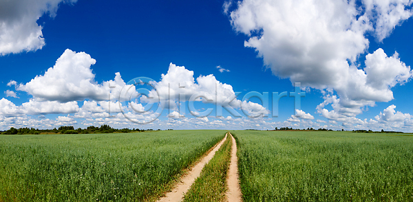 사람없음 JPG 포토 해외이미지 구름 귀리 날씨 도로 땅 밭 솜털 수평선 시골 야외 여름 자연 지역 초록색 파노라마 파란색 풍경 하늘 해외202004 해외포토 환경 흙길