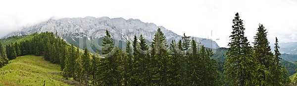 사람없음 JPG 포토 해외이미지 계곡 계절 공원 구름 나무 날씨 내추럴 땅 루마니아 목재 밭 백그라운드 봄 산 산등성이 수평선 숲 야외 언덕 여름 여행 유럽 자연 장면 절정 정상 초록색 트래킹 파노라마 풍경 하늘 하이킹 해외202004 해외포토 햇빛 환경 황무지