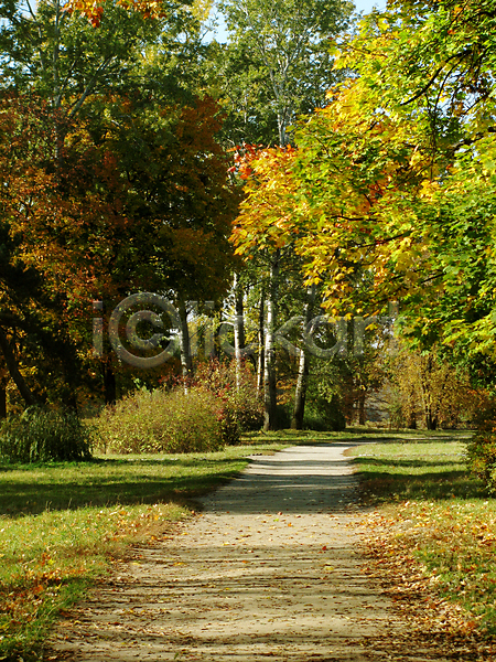 사람없음 JPG 포토 해외이미지 가을(계절) 계절 공원 길 나무 노란색 단풍 도로 보라색 숲 야외 잎 자연 초록색 풍경(경치) 해외202004
