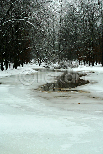 추위 침묵 사람없음 JPG 포토 해외이미지 겨울 계절 나무 냉동 물 얼음 연못 자연 풍경(경치) 해외202004 호수 흰색
