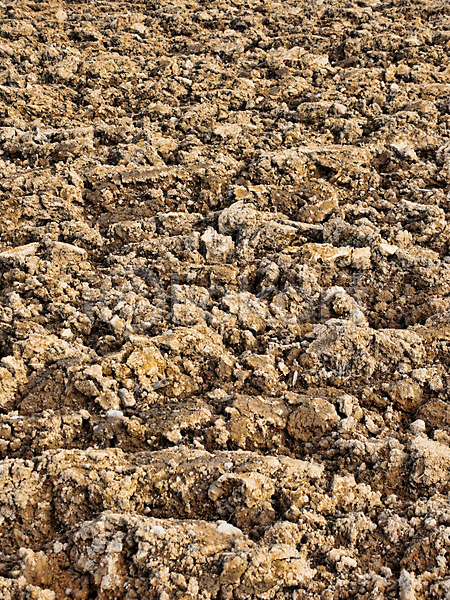 건조 사람없음 JPG 포토 해외이미지 갈색 거친 경작 농업 먼지 묘사 백그라운드 야외 원예 유기농 자연 지구 추상 표면 해외202004 환경 흙